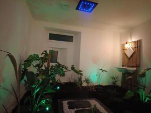 Fotografia z galérie ubytovania Le Jardin d'Eden -Appartement de charme avec Sauna, Hammam, spa v destinácii Issoudun