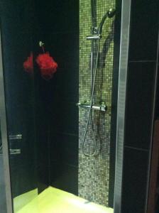 La salle de bains est pourvue d'une douche avec une porte en verre. dans l'établissement Maison Auguste, à Meyzieu