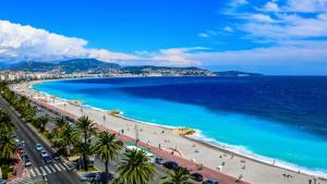 a view of a beach with palm trees and the ocean at Le Californie Plage Carras in Nice