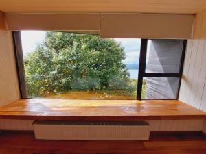 una ventana en una habitación con vistas a un árbol en Hotel Casa Panguipulli, en Panguipulli