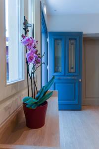 ein blaues Zimmer mit einer Topfpflanze und einer blauen Tür in der Unterkunft Zalo Urban Living Spaces in Ioannina