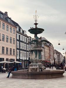 una fuente en medio de una ciudad con edificios en ApartmentInCopenhagen Apartment 1502, en Copenhague