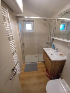 a bathroom with a shower and a sink and a toilet at Apartmani LUNI in Premantura