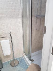 a shower with a glass door in a bathroom at Cruz Verde - Centro Histórico - Vivienda Vacacional in Santa Cruz de Tenerife