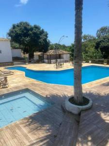 a palm tree sitting next to a swimming pool at Suites Buzios in Búzios
