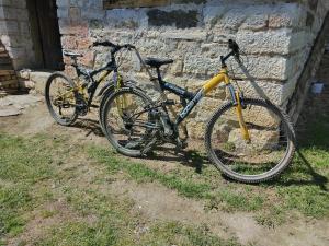 twee fietsen staan geparkeerd naast een bakstenen muur bij Vila MARA in Mokra Gora