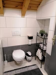 a bathroom with a toilet and a shelf with towels at Apartman Tonka in Otočac
