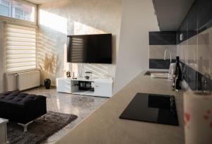 a kitchen with a counter and a tv in a room at Stan na Dan Renata in Sremska Kamenica