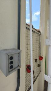 uma gaiola de rebatidas com duas bolas e uma caixa em Apartamento(1) inteiro com sala reversivel em Volta Redonda