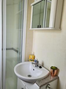 a bathroom with a white sink and a shower at Beautiful Caravan in Ingoldmells