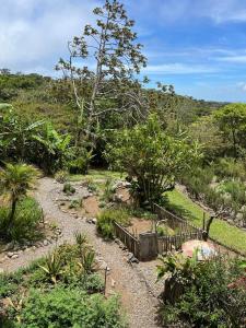 um jardim com cerca e algumas plantas em Apartamento ArteSAna em Monteverde