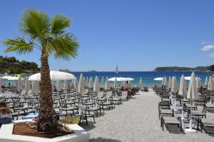 Příroda nedaleko apartmánu + 12 fotografií