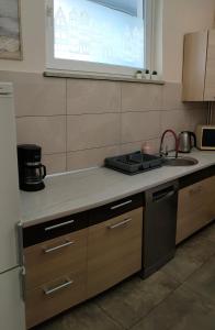 a kitchen with a sink and a counter top at Apartament Gdańsk Starówka in Gdańsk