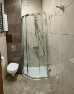 y baño con ducha de cristal y aseo. en Apartament Gdańsk Starówka en Gdansk