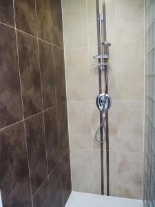 um chuveiro numa casa de banho com uma porta de vidro em Fern Lodge Angus, Kirriemuir em Angus