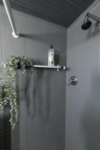 a bathroom with a shower with a plant on a shelf at Studio Neve in Bologna