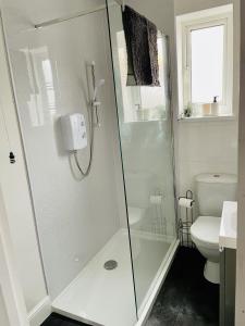 a bathroom with a shower and a toilet at Modernised Cottage in the Heart of Sketty in Swansea