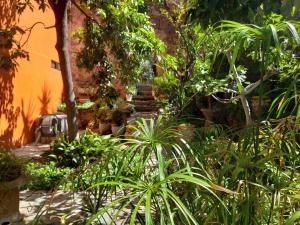 a garden with plants and stairs in a building at Ex Hacienda Hostal in Guanajuato +15 photos