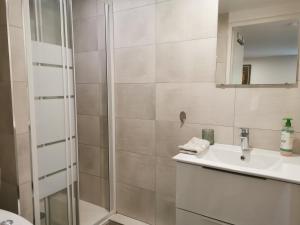 La salle de bains est pourvue d'une douche et d'un lavabo. dans l'établissement Green Cellar studio Centre de Strasbourg - 5 min conseil de l'Europe, à Strasbourg