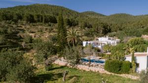 une villa avec une piscine dans une forêt dans l'établissement Valley Club Ibiza - Boutique Agroturismo, à Sant Joan de Labritja