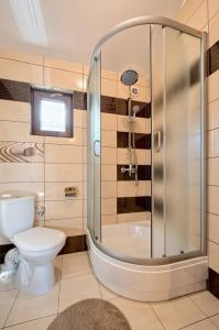 a bathroom with a shower and a toilet at DOMKI JANTAR PREMIUM in Bobolin