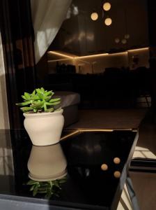 Fotografie z fotogalerie ubytování 'Amaryllis Home' ,το σπίτι σας v destinaci Loutraki