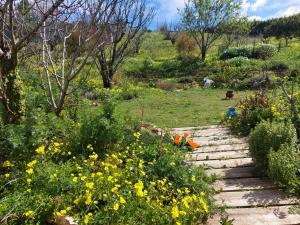 Gallery image of Quinta TreeWindBee in Alenquer