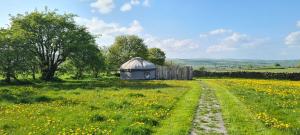 a yurt in the middle of a field of flowers at Secret Cloud House Holidays Luxury Yurts with Hot Tubs in Cauldon