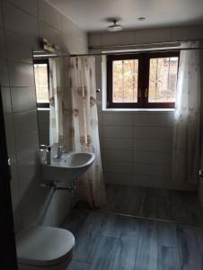 a bathroom with a sink and a toilet and a window at Riga,Hospitalu,3 in Rīga