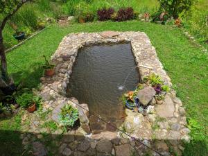 En have udenfor HOSTAL CASA DE GUADUA/ THE BAMBOO HOUSE + 8 billeder