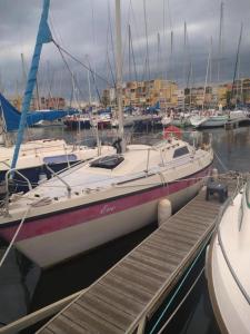 a boat is docked at a dock with other boats at super Voilier Eve in Gruissan