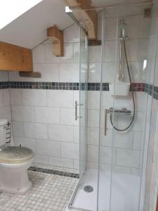 een badkamer met een douche en een toilet bij The Coach House 