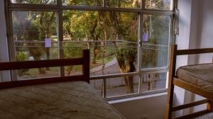 1 dormitorio con ventana con vistas a un árbol en Casa do Estudante Luterano Universitário - CELU, en Curitiba