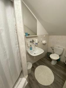 a bathroom with a sink and a toilet and a shower at Ubytování na Lesní in Luhačovice +18 photos