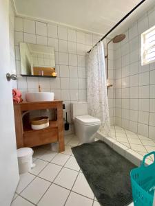 a bathroom with a sink and a toilet and a shower at Casa Augusto in Willemstad