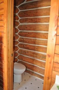 a bathroom with a toilet and a wooden wall at Crooked Creek Guest Ranch in Dubois