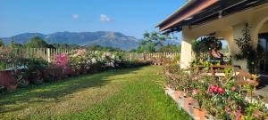 einen Garten mit vielen Blumentöpfen und einem Haus in der Unterkunft Mountain View Guest House KB in Kota Belud