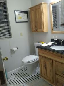 ein Bad mit einem WC und einem Waschbecken in der Unterkunft The Whitney in Buffalo