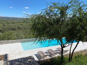 a swimming pool with lounge chairs next to a tree at Casa Sol in Villa Cura Brochero