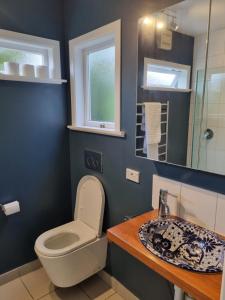 a bathroom with a toilet and a sink at Redwoods Character Cottage & Studio in Rotorua +40 photos