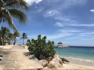 ścieżka na plaży z palmami i oceanem w obiekcie Casa Floor w mieście Dorp Sint Michiel