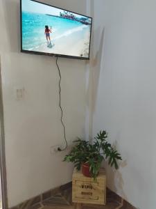 een flatscreen-tv hangend aan een muur met een plant bij A la Vera del Río in Puerto Iguazú