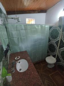 een badkamer met een wastafel en een toilet bij A la Vera del Río in Puerto Iguazú