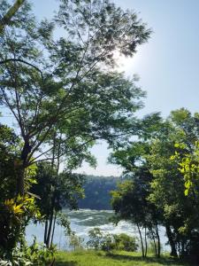 a view of the niagara river through the trees at A la Vera del Río in Puerto Iguazú