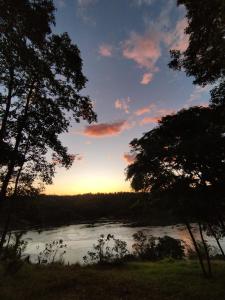 einen Sonnenuntergang über einem Fluss mit Bäumen im Vordergrund in der Unterkunft A la Vera del Río in Puerto Iguazú