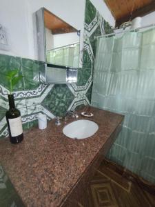 ein Bad mit einem Waschbecken und einem Spiegel in der Unterkunft A la Vera del Río in Puerto Iguazú