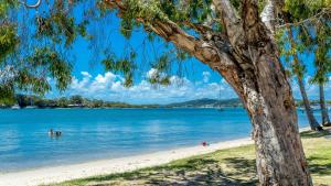 una playa con gente en el agua y un árbol en 7 Como Noosa, en Noosaville