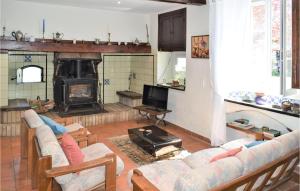 uma sala de estar com um sofá e uma lareira em Stunning Home In Miossens Lanusse With Wifi em Miossens-Lanusse
