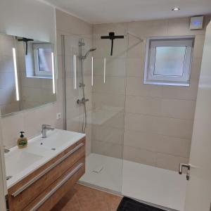 a bathroom with a shower and a sink and a tub at Urlaub zwischen den Meeren auf Hof Jørlon in Osterby