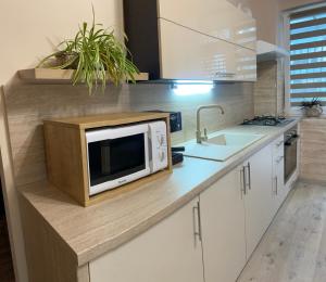 una cucina con forno a microonde sopra un bancone di Maya Apartment a Cluj-Napoca